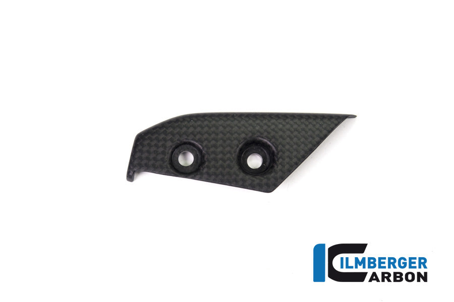 Ilmberger Carbon Instrument Cover Ducati Panigale V4 / V4 S - Matte