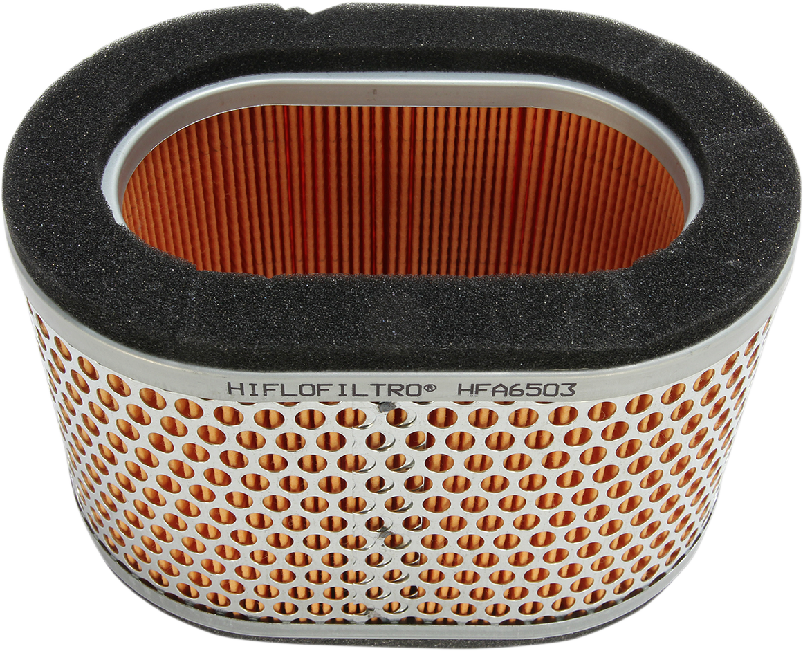 Hiflofiltro Replacement Air Filter - Triumph