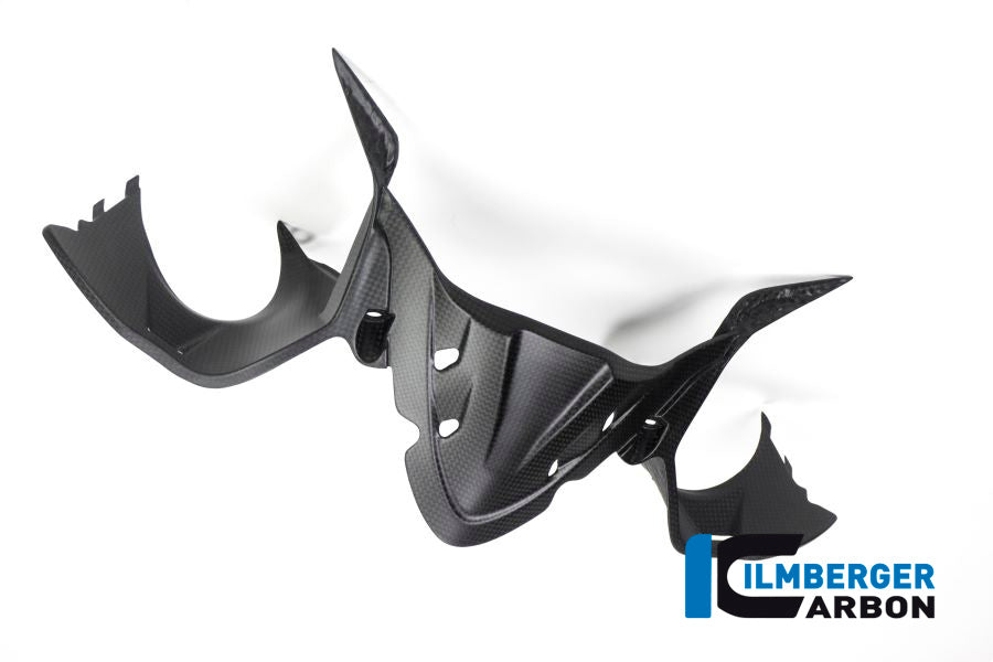 Ilmberger Carbon Instrument Panel Matt Carbon Ducati Panigale 1299 (From 2015)