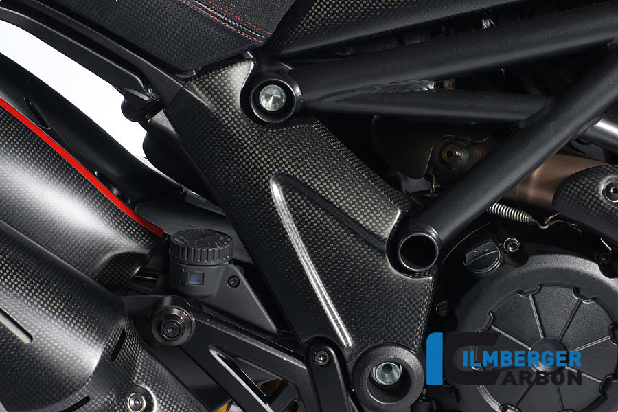 Ilmberger Carbon Frame Cover Right Carbon