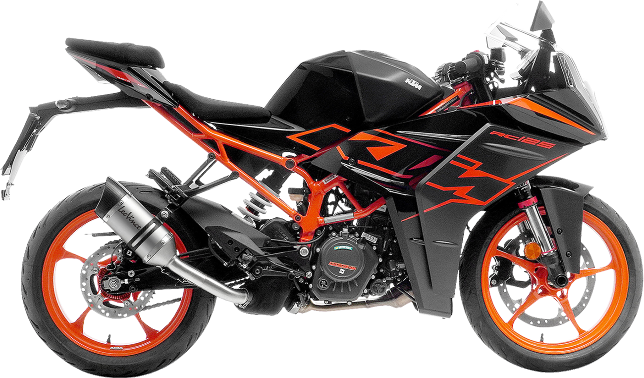 LeoVince LV Pro Slip-On Muffler