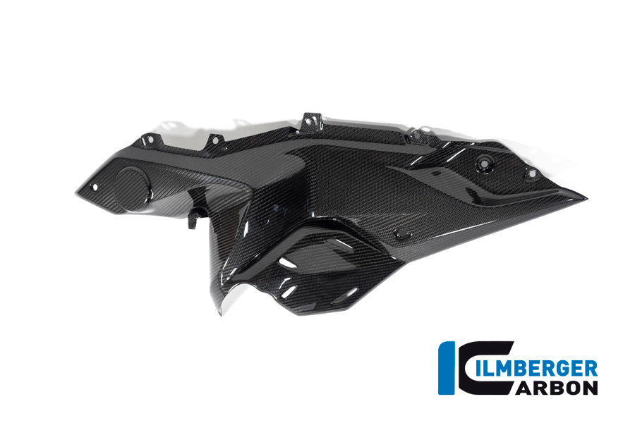 Ilmberger Carbon Side Panel Under The Tank Left Side BMW R 1250 RS