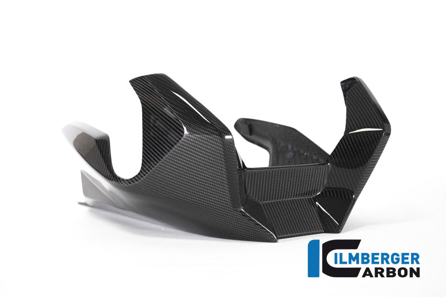 Ilmberger Carbon Bellypan BMW R 1250 R (LC) 2019