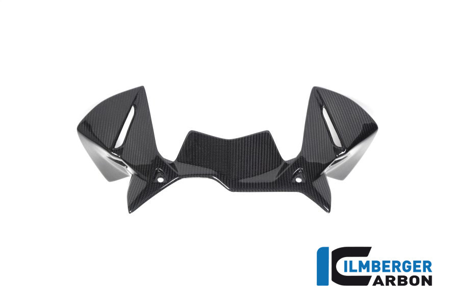 Ilmberger Carbon Windprotector On The Instruments BMW R 1250 GS