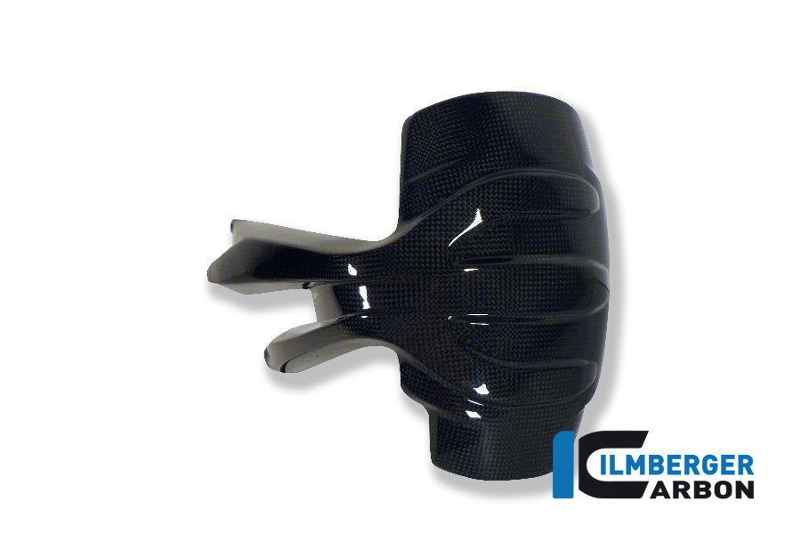 Ilmberger Carbon Splash Guard BMW 1200GS '13