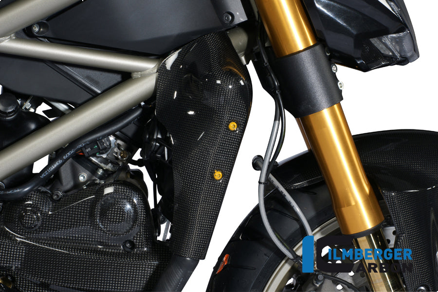 Ilmberger Carbon Water Radiator Cover Right Carbon
