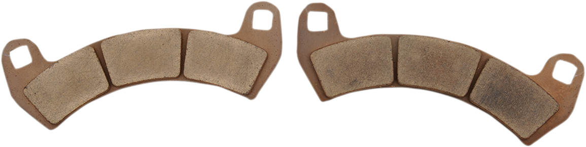 DP Brakes Standard Brake Pads - RZR