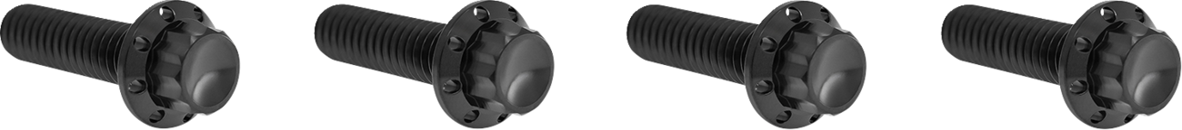 Arlen NESS Bolt Kit - Transmission Top Cover - 12-Point - Titanium - Black