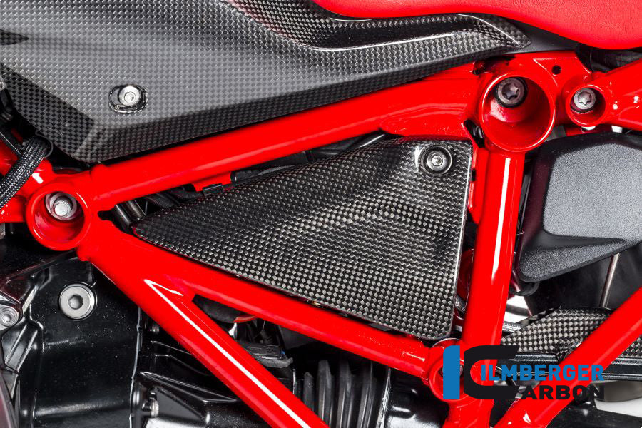 Ilmberger Carbon Frame Triangle Cover Left Carbon