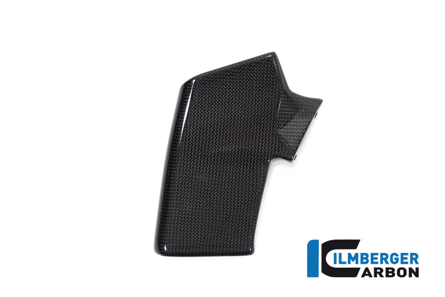 Ilmberger Carbon Fairing Side Winglet Kit Right V4 Ducati Streetfighter - Gloss