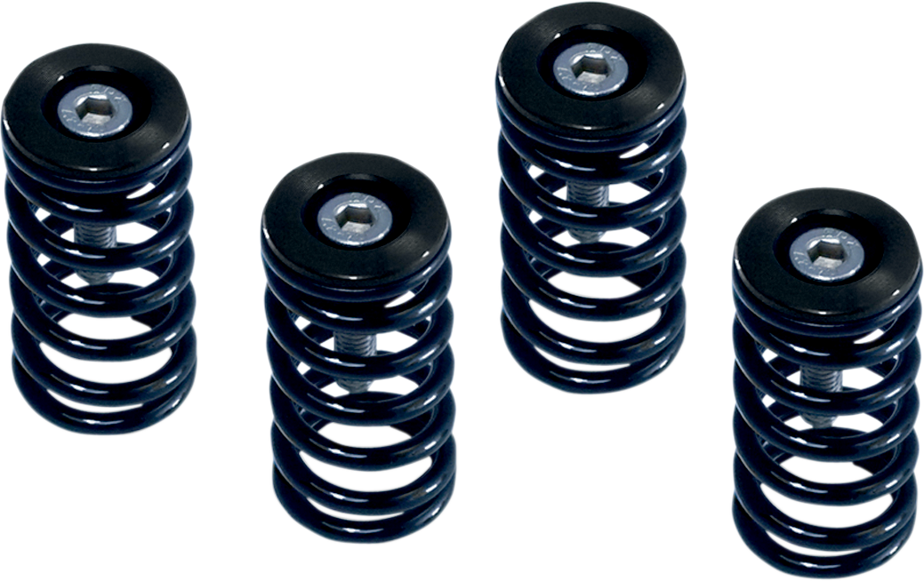 Barnett Clutch Spring Kit