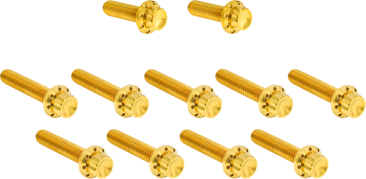 Arlen NESS Bolt Kit - Cam Cover/Point Cover - Titanium - 12-Point - Gold