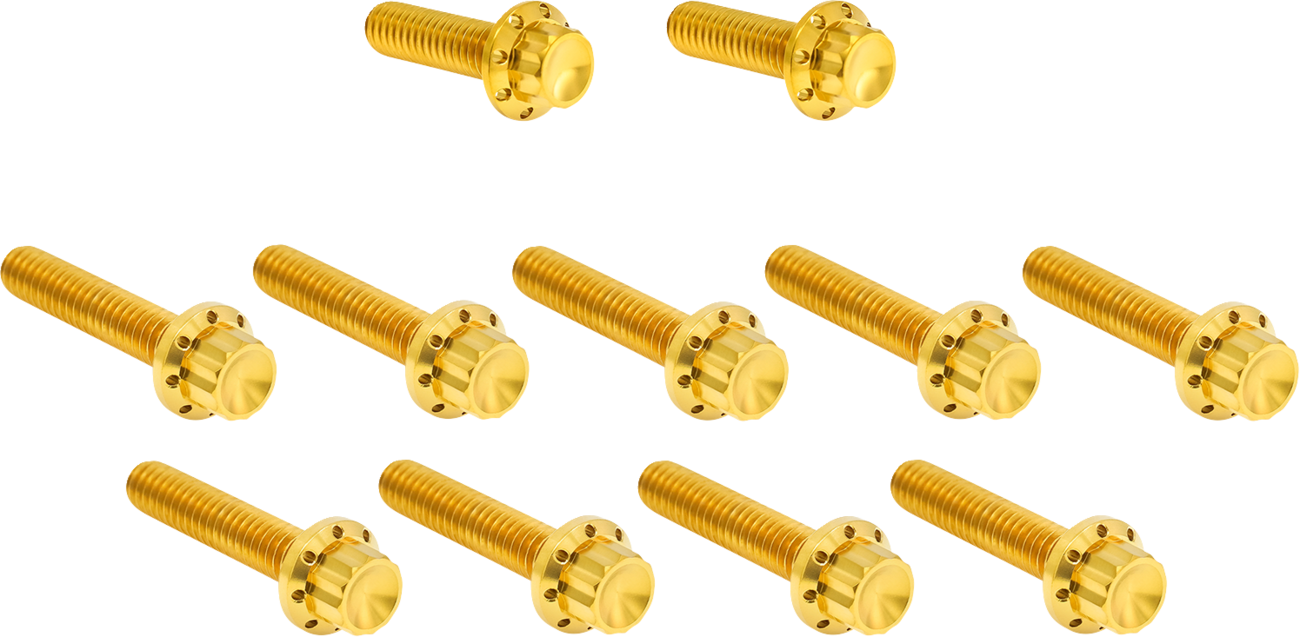 Arlen NESS Bolt Kit - Cam Cover/Point Cover - Titanium - 12-Point - Gold