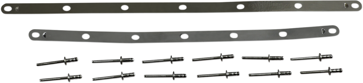 LeoVince Strap And Rivet Kit - Factory R