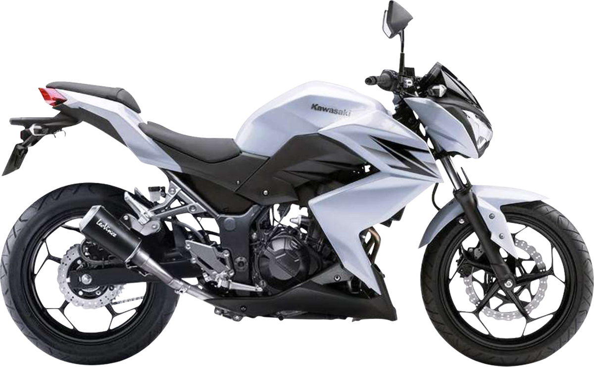 LeoVince LV-10 Slip-On Muffler - Black Stainless Steel - Ninja 300