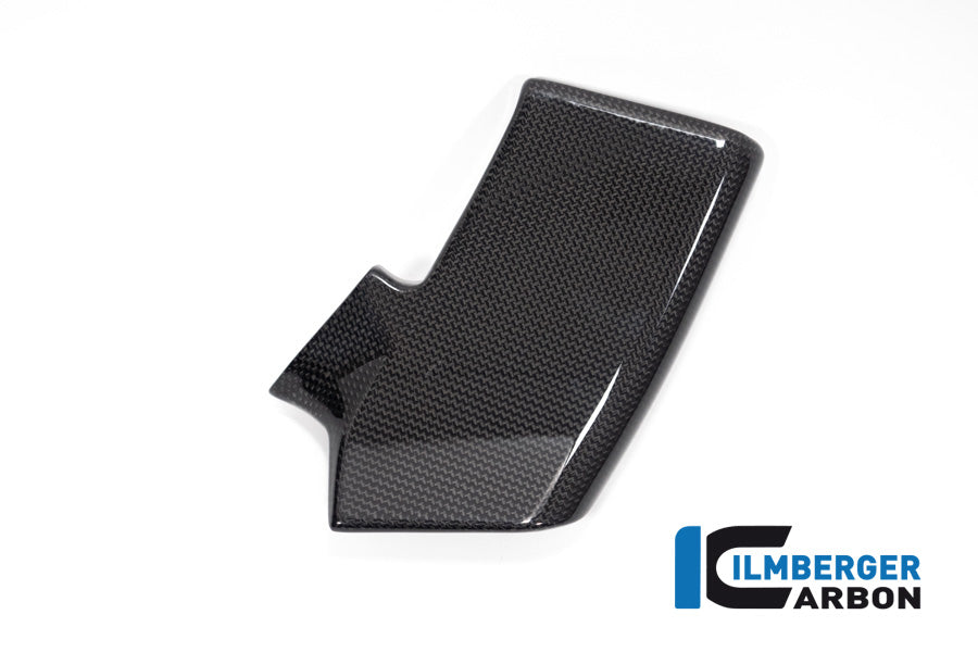 Ilmberger Carbon Fairing Side Winglet Kit Right V4 Ducati Streetfighter - Gloss