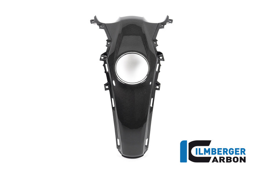 Ilmberger Carbon Tank Centre Panel BMW R 1250 R / R 1250 RS