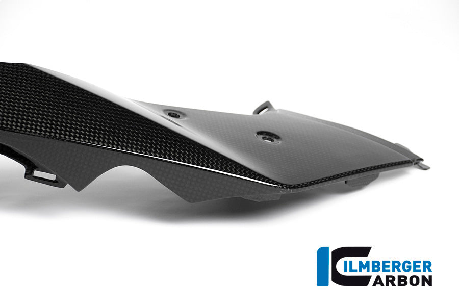 Ilmberger Carbon Front Beak / Upper Fender Left Part