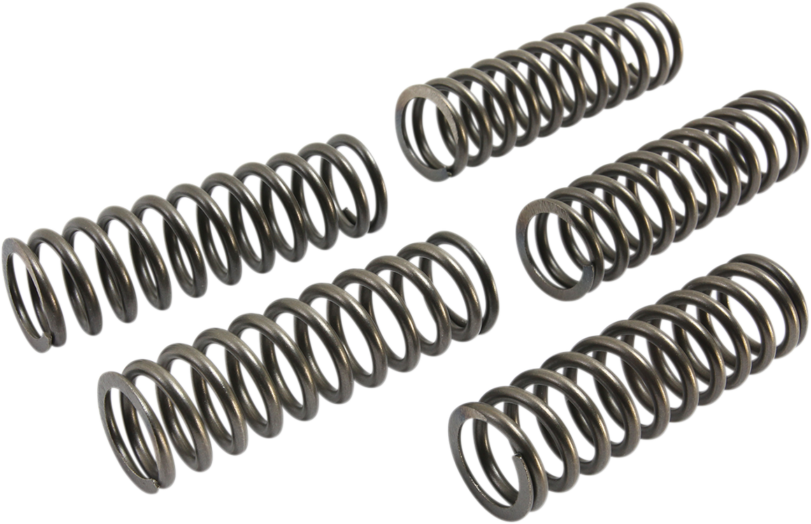 EBC Brakes Clutch Springs