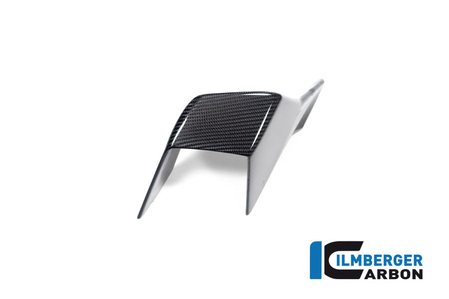Ilmberger Carbon Winglet Left Side BMW M 1000 RR MY From 2023
