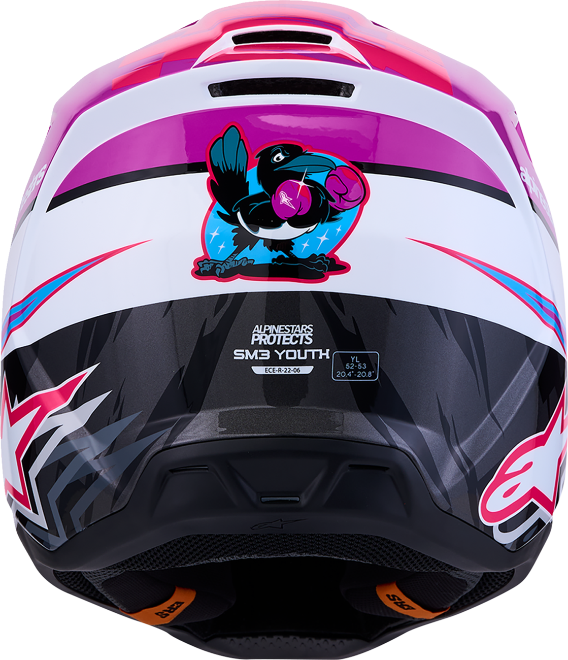 Alpinestars Youth SM3 Falcon Helmet