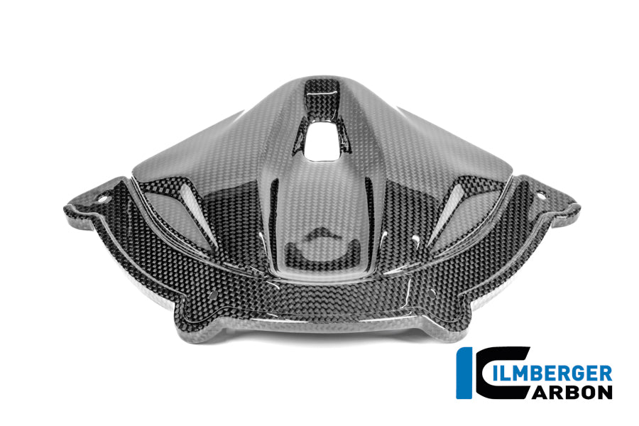 Ilmberger Carbon Instrument Cluster Cover Ducati Panigale V4 2025-2026 - Gloss / Plain