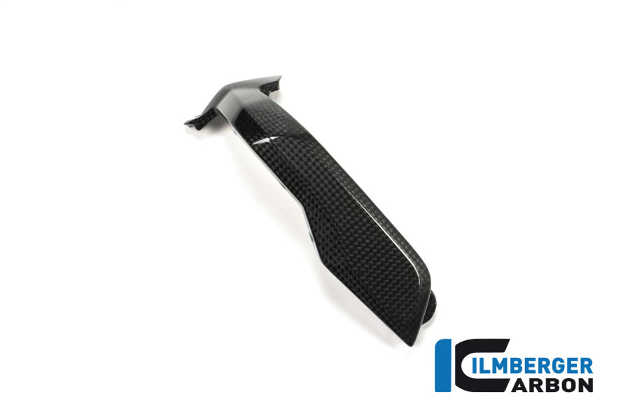 Ilmberger Carbon Spark Plug Cover Left Side Carbon - BMW R 1200 GS (LC) From 2013 To 2015