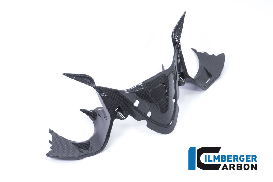 Ilmberger Carbon Instrument Panel With GPS Gloss Ducati Panigale 1299 (From 2015)
