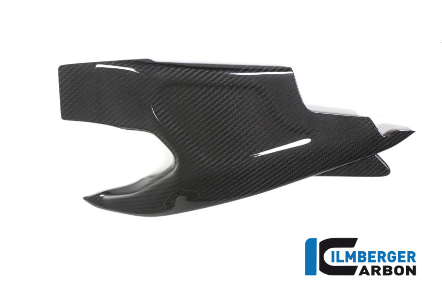 Ilmberger Carbon Swing Arm Cover Left Side BMW HP4 RACE
