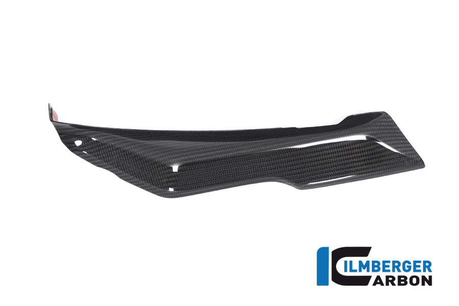 Ilmberger Carbon Cover Under The Front Fairing Left Side BMW R 1250 RS