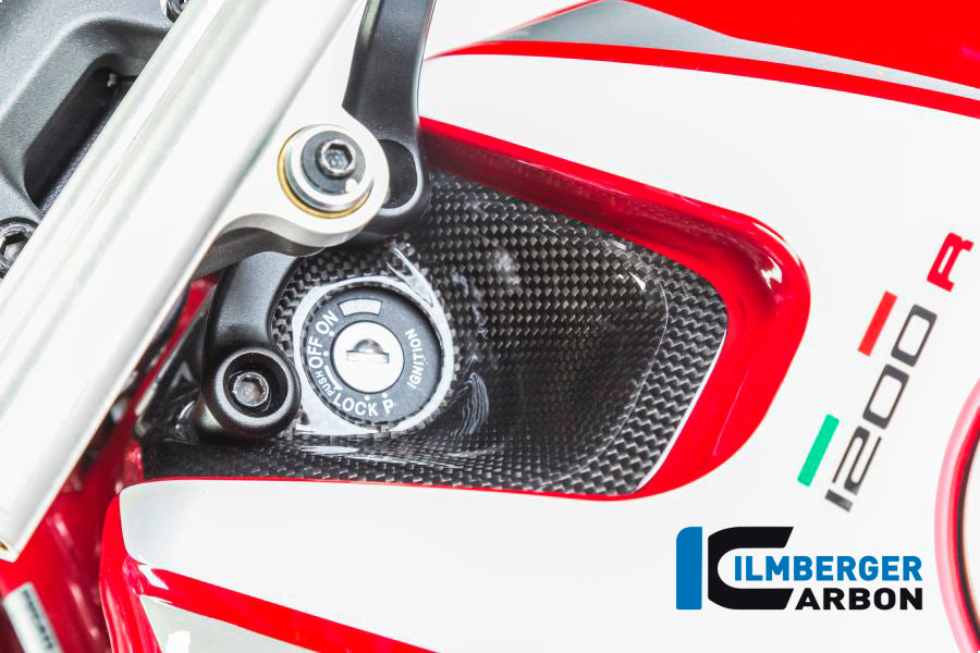 Ilmberger Carbon Ignition Switch Cover Ducati Monster 1200R