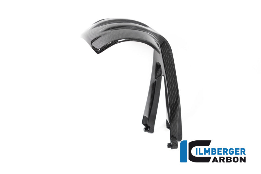 Ilmberger Carbon Rear Splash Guard BMW R 1250 GS From 2019