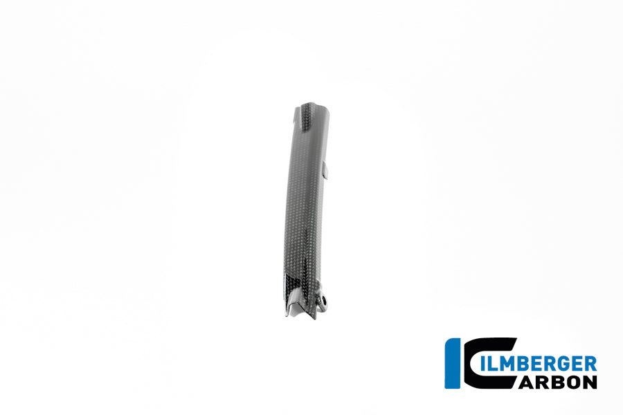 Ilmberger Carbon Brake Line Cover BMW R12 NineT - Gloss / Twill