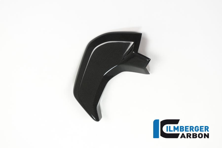 Ilmberger Carbon Cover Near The Instrument Left Side Surface Ducati MTS 2015 - Gloss