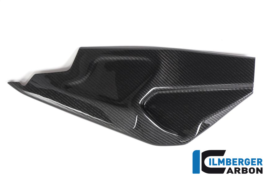 Ilmberger Carbon Swing Arm Cover Right Side BMW HP4 RACE