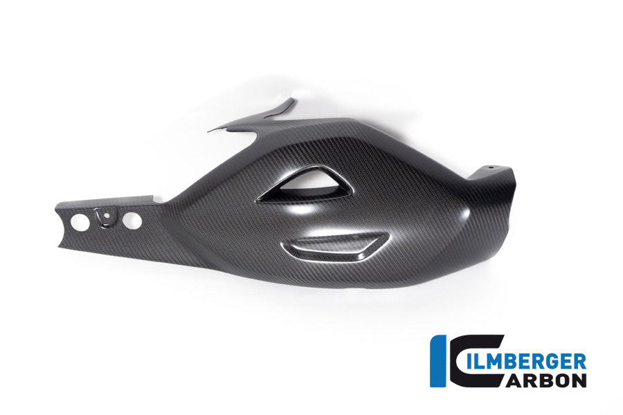 Ilmberger Carbon Swingarm Guard Ducati Diavel Bentley Matte