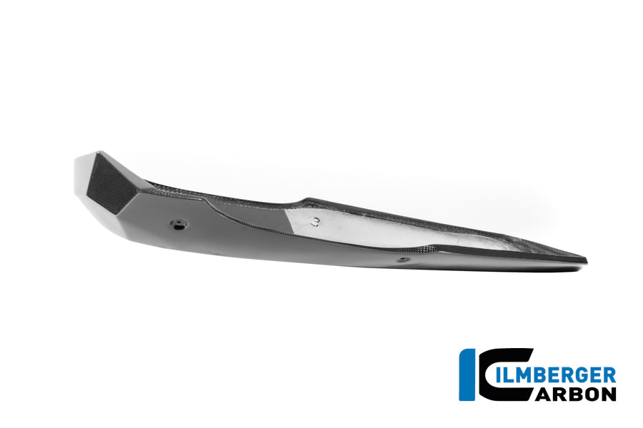 Ilmberger Carbon Motor Spoiler BMW R12 NineT 2024 - Gloss / Twill