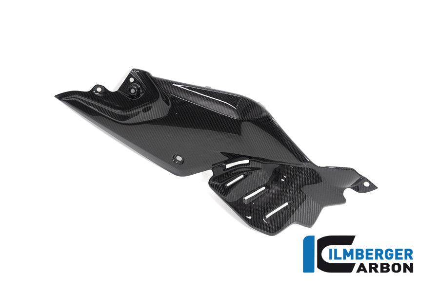 Ilmberger Carbon Side Panel Under The Tank Right BMW R 1250 R
