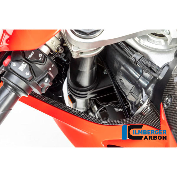 Ilmberger Carbon Air Tube Cover Set For Ducati Panigale V4 V4S Speciale