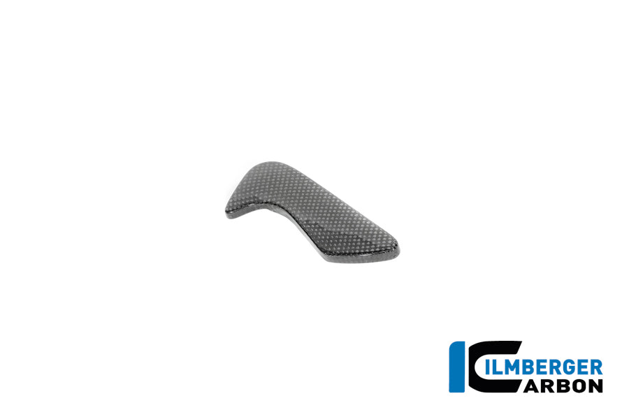 Ilmberger Carbon Toolbox Cover BMW R12 NineT - Gloss / Twill