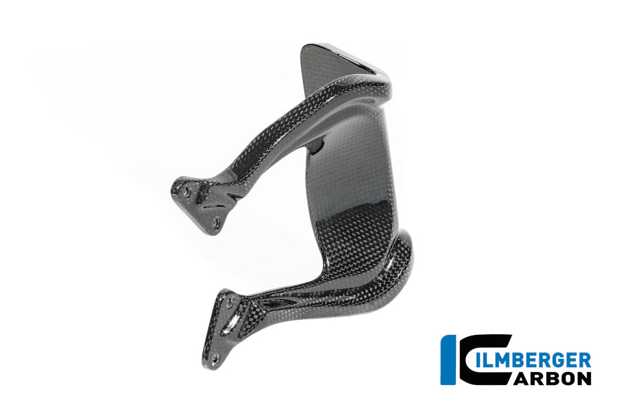 Ilmberger Carbon Windshield BMW R12 NineT - Gloss / Twill