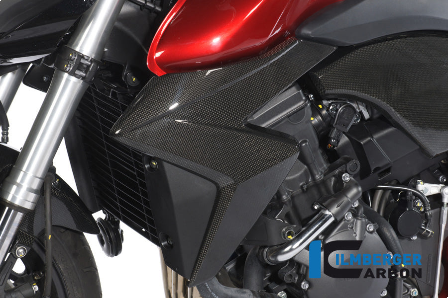 Ilmberger Carbon Left Radiator Cover Carbon