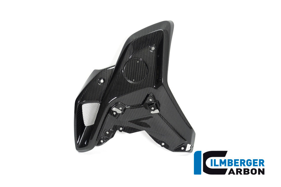 Ilmberger Carbon Airtube Left Side (For Orig. Stainless Steel Deflector) BMW R 1250 GS