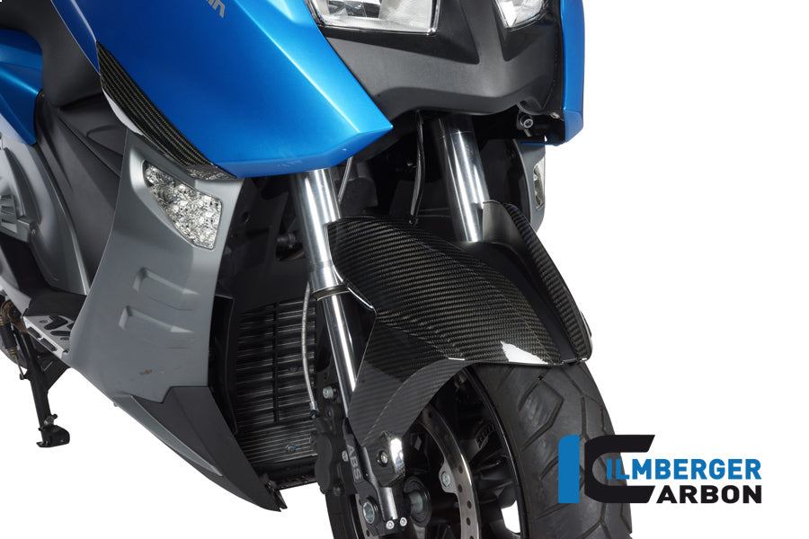 Ilmberger Carbon Front Fender BMW C600 Sport Left/Right