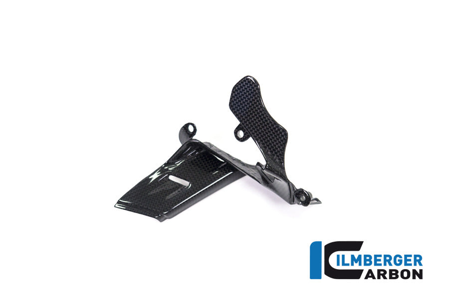 Ilmberger Carbon Instrument Cover Ducati Panigale V4 / V4 S - Gloss
