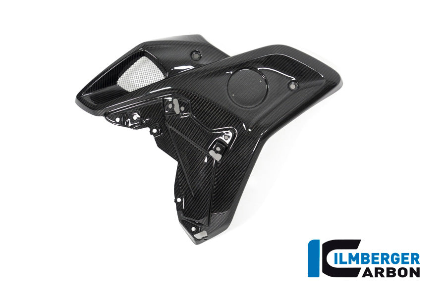 Ilmberger Carbon Airtube Left Side (For Orig. Stainless Steel Deflector) BMW R 1250 GS