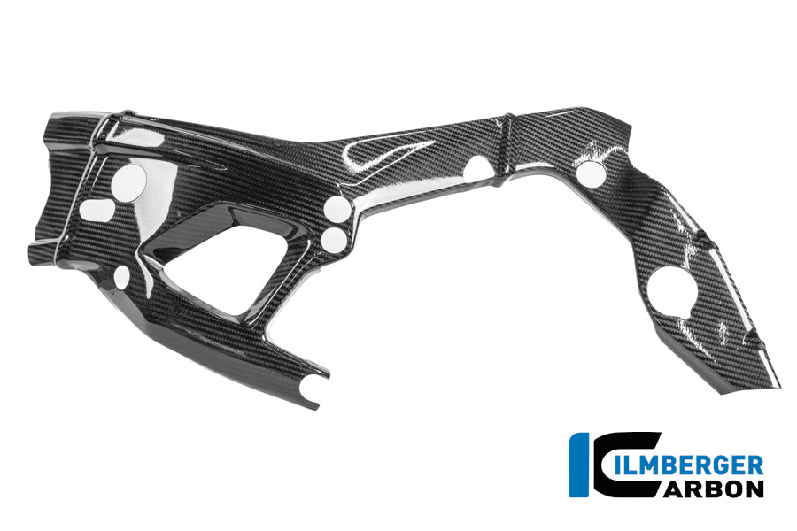 Ilmberger Carbon Rahmenschützer Links Carbon Glanz M 1000 RR Racing (Ab 2025)