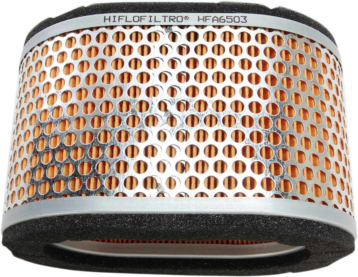 Hiflofiltro Replacement Air Filter - Triumph