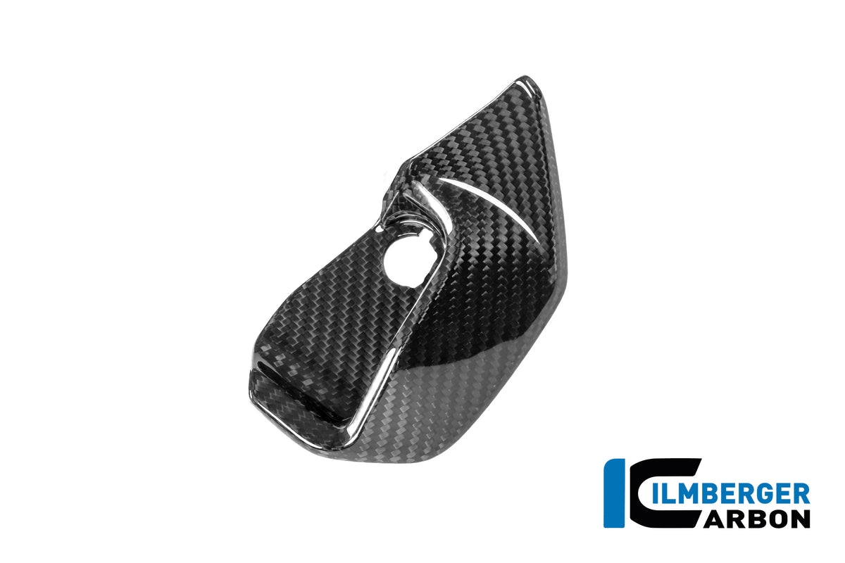 Ilmberger Carbon Dash Cover Right R1300Rs - Gloss / Twill