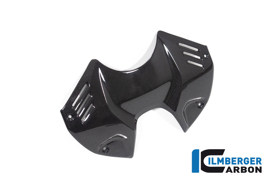 Ilmberger Carbon Tank Panel Front V4 Ducati Streetfighter